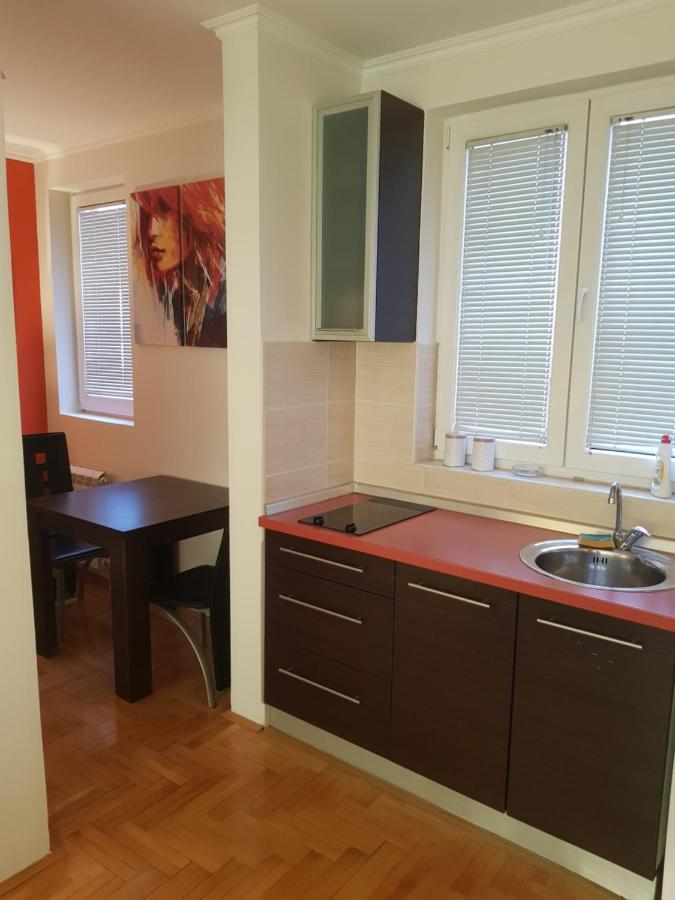 Rajiceva 5- Apartman Sa Prostranom Terasom I Garaznim Mestom Крагуевац Экстерьер фото