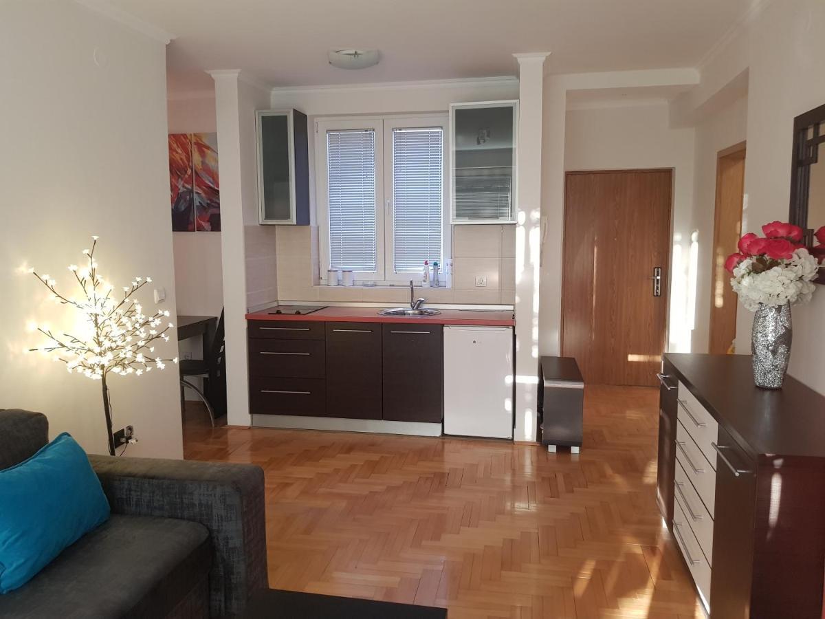 Rajiceva 5- Apartman Sa Prostranom Terasom I Garaznim Mestom Крагуевац Экстерьер фото